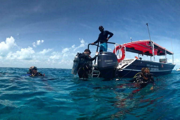 Cancun eller Isla Mujeres Revdykning för nybörjare