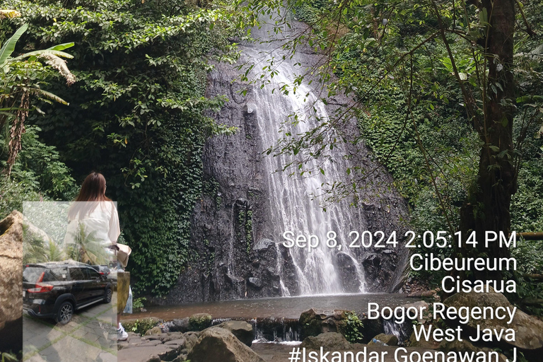 Taman Safari and Tea Plantation Tour at Puncak