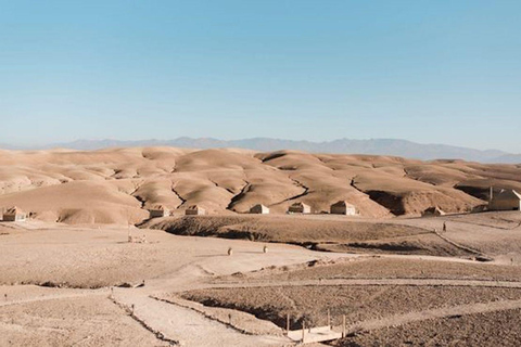 Cena della Maestà di Marrakech con giro in cammello nel deserto di Agafaygiro in cammello nel deserto cena tipica e folklore berbero