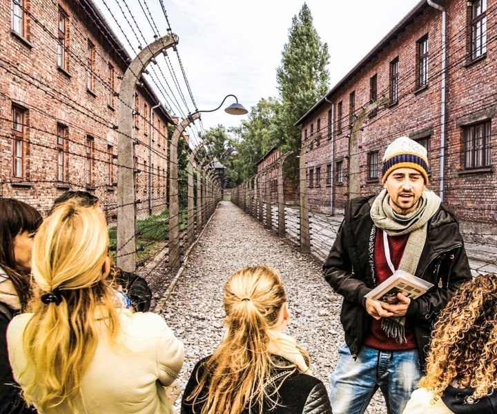 Desde Cracovia: tour guiado por Auschwitz-Birkenau