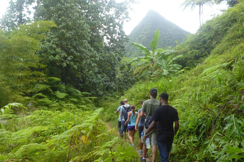 Santa Lúcia: Caminhada em Gros Piton com transporte