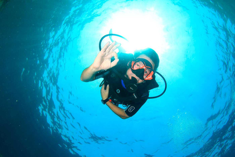 Mallorca: duiken zonder brevet met een duikinstructeur vanaf de boot - Cap de FormentorProbeer Scuba - Proefduiken