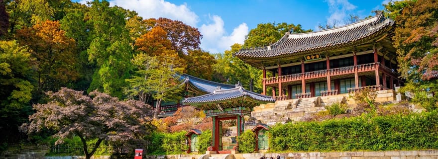 Séoul : Visite privée des hauts lieux de la ville avec prise en charge et retour