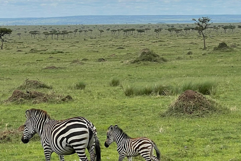 Overnight Masai Mara National Park From Nairobi