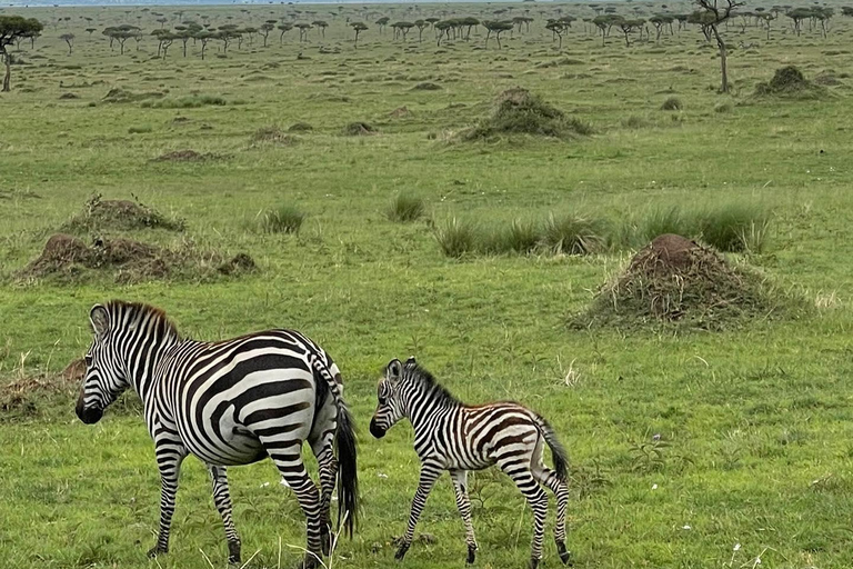 Overnight Masai Mara National Park From Nairobi