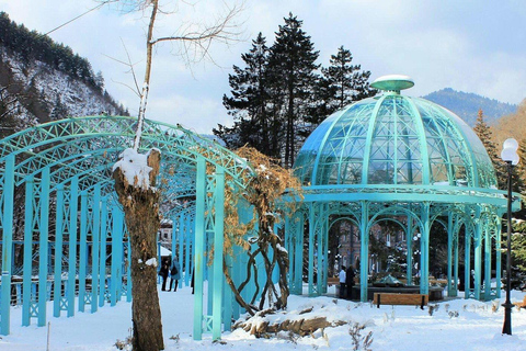 Tbilisi: Borjomi and Bakuriani Day Trip with Guide
