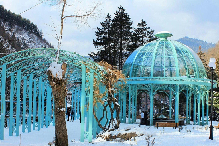 Tbilisi: Borjomi and Bakuriani Day Trip with Guide