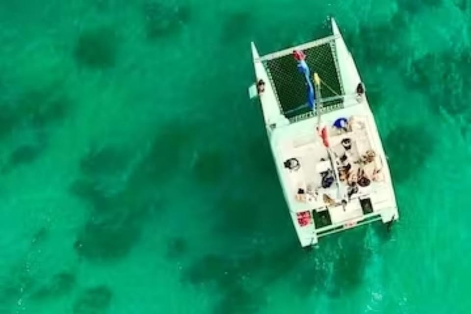 Honolulu: Marine Life Boat Tour on Waikiki Catamaran Charter | GetYourGuide