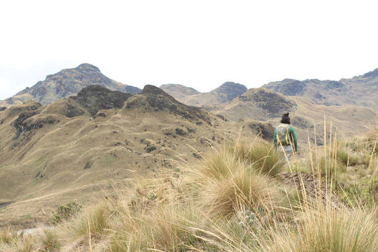 Papallacta: Caminata Ruta del Agua y vida
