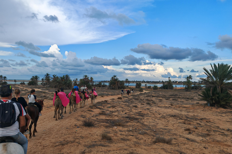 杰尔巴岛：在蓝色泻湖骑骆驼和骑马。杰尔巴：蓝色泻湖骑骆驼和骑马之旅。