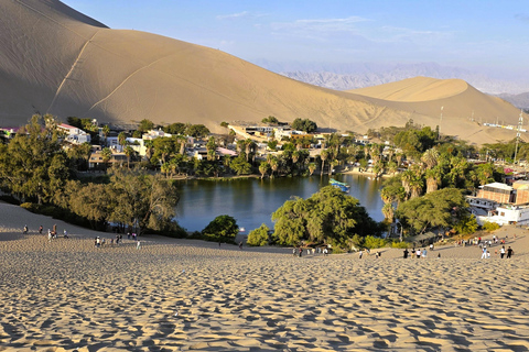 From Lima: Ballestas Islands & Huacachina Dune Buggy Tour Paracas & Huacachina: Hotel Pickup & Bilingual Guide