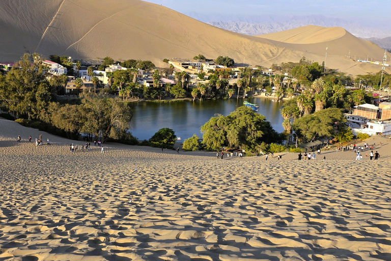 From Lima: Ballestas Islands & Huacachina Dune Buggy Tour Paracas & Huacachina: Hotel Pickup & Bilingual Guide