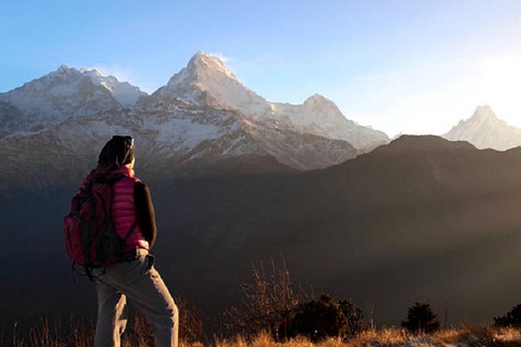 Pokhara: Ghorepani-Poon Hill Trek 2-Days/3-Days/4-Days 3-Day option with meals covered