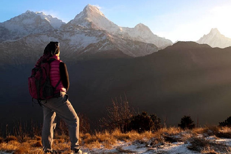 Pokhara: Ghorepani-Poon Hill Trek 2-Days/3-Days/4-Days 3-Day option with meals covered