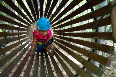 Vizzavona Canopy Walk Vizzavona Tree Climbing