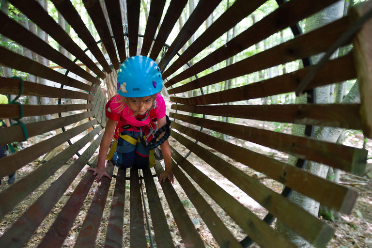 Vizzavona Canopy Walk Vizzavona Tree Climbing