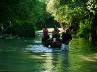 Chemin de café privé Visite VTT + chute d'eau à cheval - Hizvo