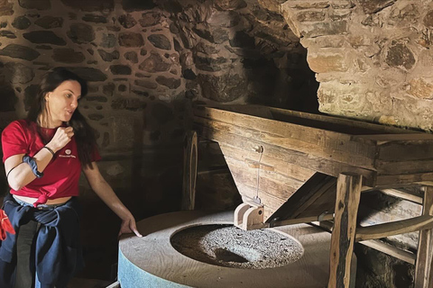 From Athens: Nemea Wine Tour with Corinth Canal Stop