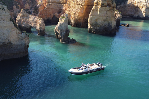 Esplora Benagil, Ponta da Piedade e i delfini in Algarve