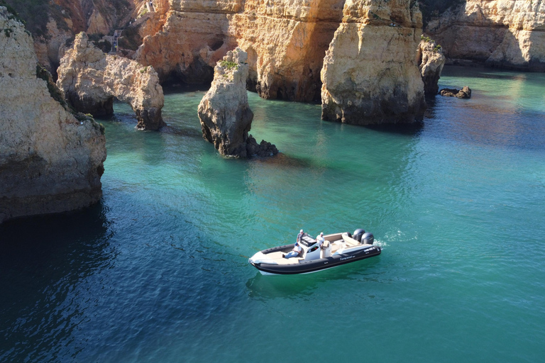 Esplora Benagil, Ponta da Piedade e i delfini in Algarve