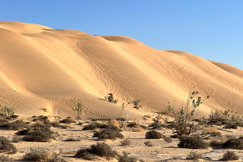 Z Salalah: Pustynne safari w pustej dzielnicy – Rub Al Khali