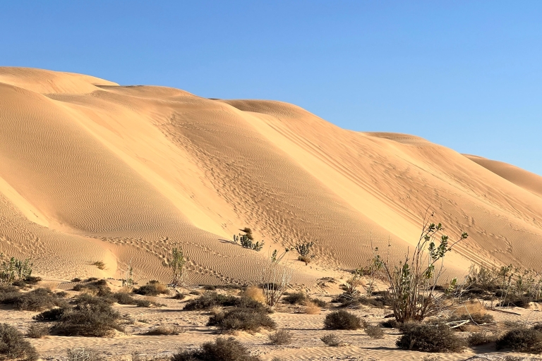 Desde Salalah: Safari por el desierto en el Barrio Vacío - Rub Al Khali