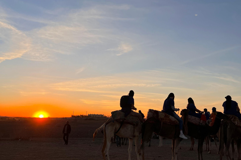 Sunset Camel Ride in Desert &amp; Palm Grove with Tea &amp; Transfer