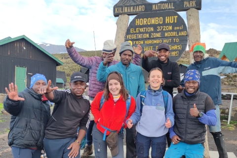 Experiencia de senderismo en el Kilimanjaro por la Ruta LemoshoExperiencia de senderismo en el Kilimanjaro por la Ruta Lemosho 7 Días