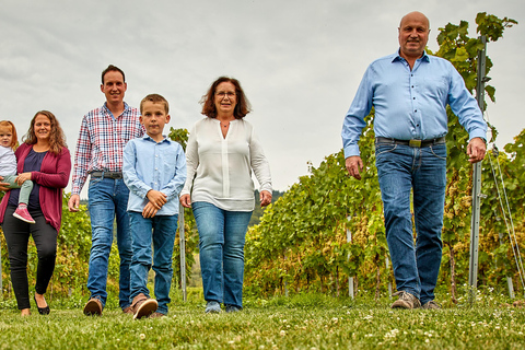 Kröv/Gut Hermes: Wine tour & tasting through the vineyard, winery, & sparkling wine factory Kröv/Gut Hermes: Wine Tour & Tasting Through Vineyard, Winery & Champagne Factory