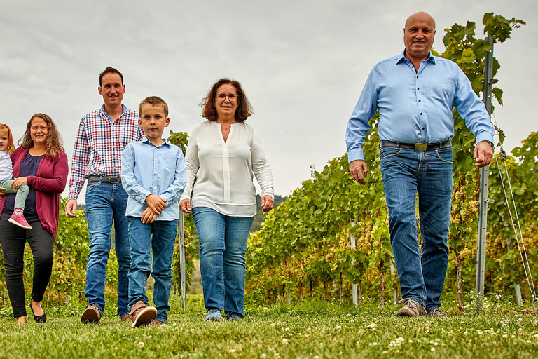 Kröv/Gut Hermes: Wine tour & tasting through the vineyard, winery, & sparkling wine factory Kröv/Gut Hermes: Wine Tour & Tasting Through Vineyard, Winery & Champagne Factory