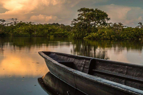 Depuis Iquitos | Circuit de 6 jours dans la forêt amazonienne