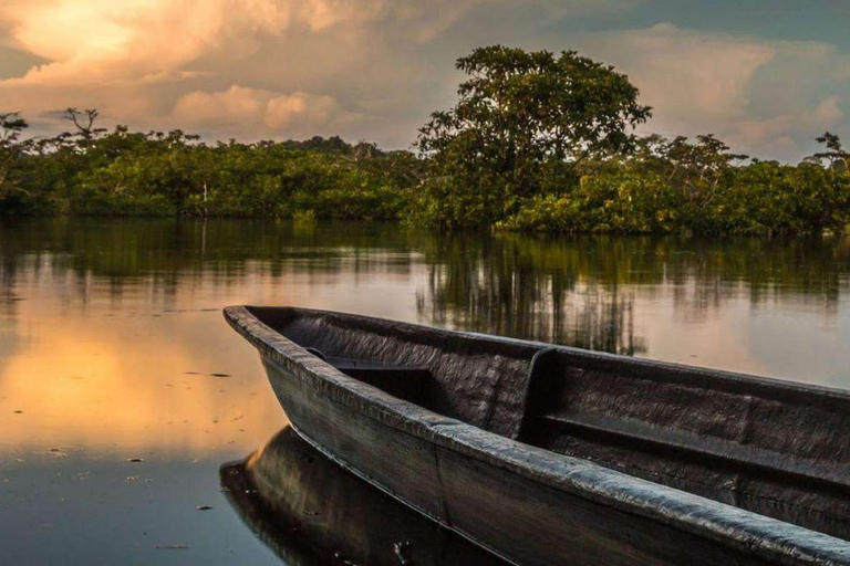 From Iquitos | 6-day Amazon rainforest tour