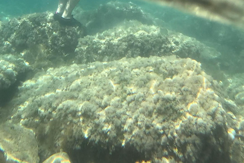 SCALA DEI TURCHI: Rent a KAYAK or Stand Up Paddle for 1 hour [+Snorkeling Kit] SCALA DEI TURCHI 1-hour STAND-UP PADDLEBOARD rental for 1 person