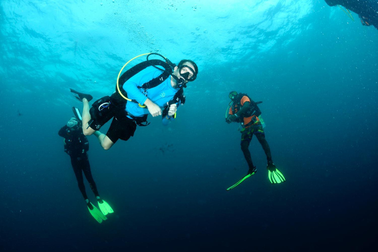 Colombo: Shipwreck Diving Experience within the city