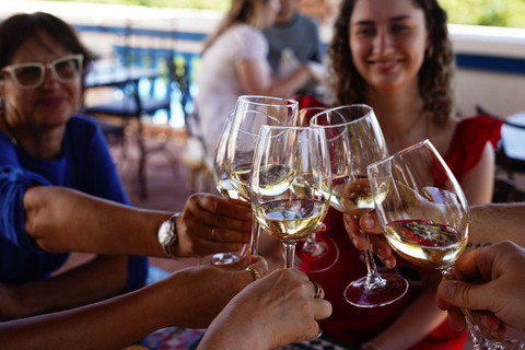 Van Albufeira: Wine Tasting Tour en Silves Visit