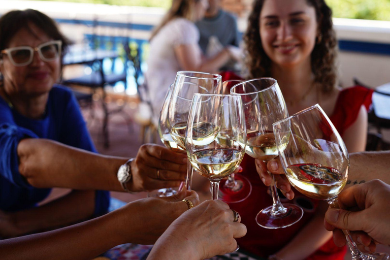 Van Albufeira: Wine Tasting Tour en Silves Visit