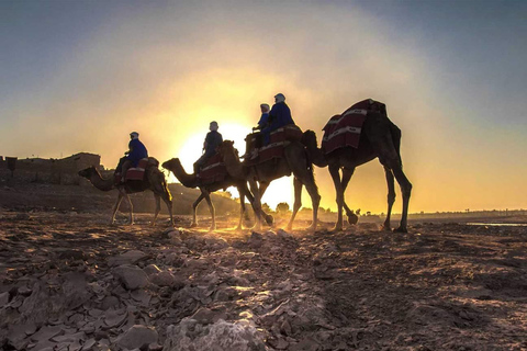 Dîner dans le désert d&#039;Agafay au départ de Marrakech et balade à dos de chameauDîner dans le désert d&#039;Agafay depuis Marrakech et promenade à dos de chameau