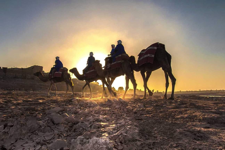 Dîner dans le désert d&#039;Agafay au départ de Marrakech et balade à dos de chameauDîner dans le désert d&#039;Agafay depuis Marrakech et promenade à dos de chameau