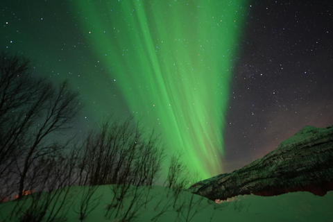 Tromsø: Northern Lights Tour with Free Professional Photos