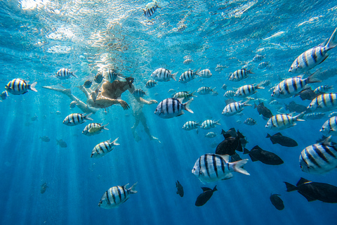 Oahu: Waikiki Turtle Canyon Snorkeling Tour (Small group) Waikiki: Sea Turtle Snorkel (Small group 20 People Max)