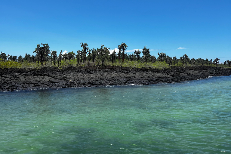 Galápagos: Sightseeing Tour to Tortuga Bay with Crystal-Clear Waters and Kayak