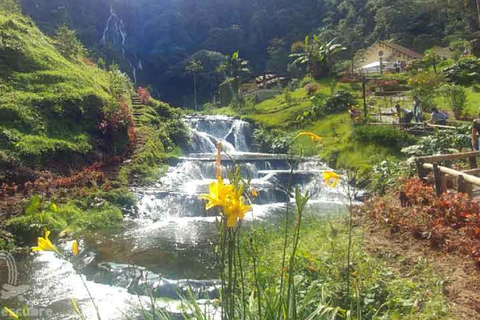 Cali: Wycieczka do Term Santa Rosa de Cabal | Wyjazd z CaliCali: Wycieczka do term Santa Rosa de Cabal | Wyjazd z Cali