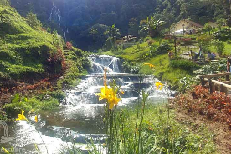 Cali: Wycieczka do Term Santa Rosa de Cabal | Wyjazd z CaliCali: Wycieczka do term Santa Rosa de Cabal | Wyjazd z Cali