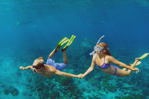 Heraklion Luxury Catamaran Dia Isla -Gourmet Lunch Top RatedPrincipal - Matin ou coucher de soleil