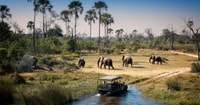 Zambezi River; Sunset Game Cruise - Housity