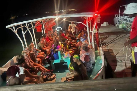 Luminous lagoon : Night Tour from Ocho Rios and Runaway Bay