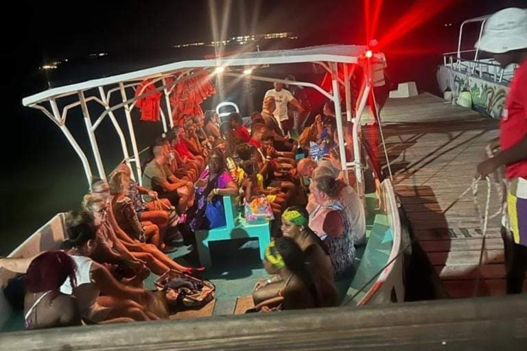 Luminous lagoon : Night Tour from Ocho Rios and Runaway Bay