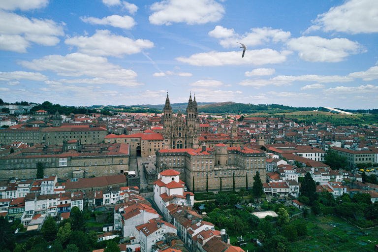 Från Porto: Privat tur till Santiago de Compostela
