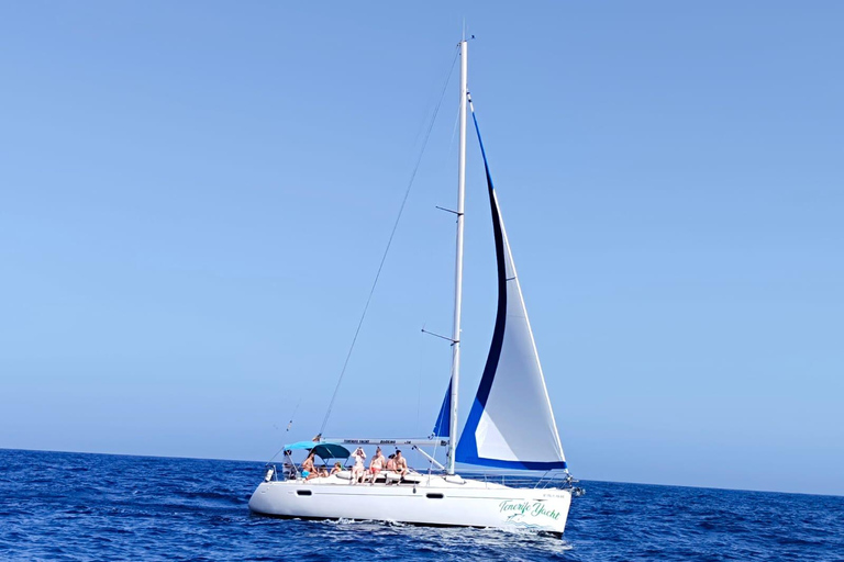 Boat Trip: Dolphin & Whale Watching Sailing Tour 11 Pax Max Boat Trip: Dolphin & Whale Watching Sailing Tour 11 Pax Max
