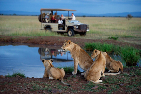 3D-dagars Masai Mara &amp; Naivasha Båttur Grupptillhörighet Camping